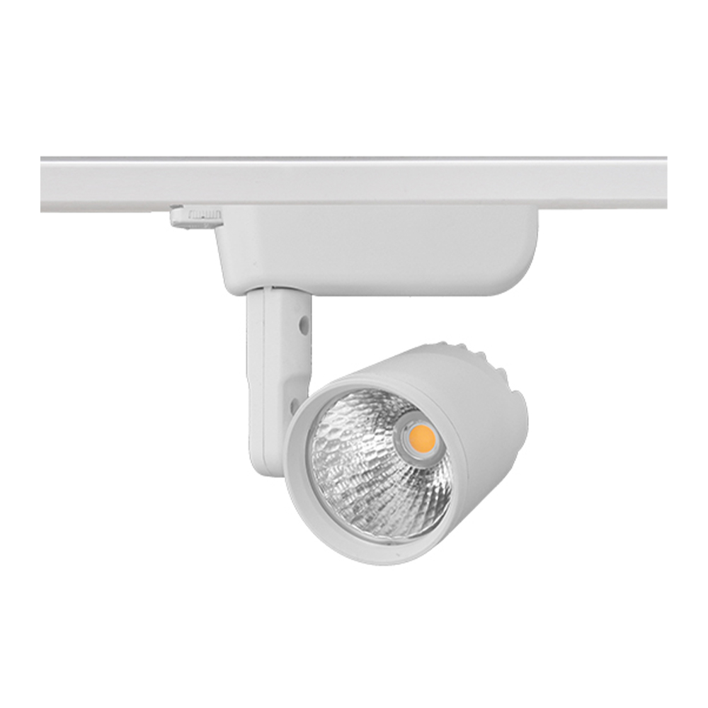 SP1520120 (+) - XXXP30W